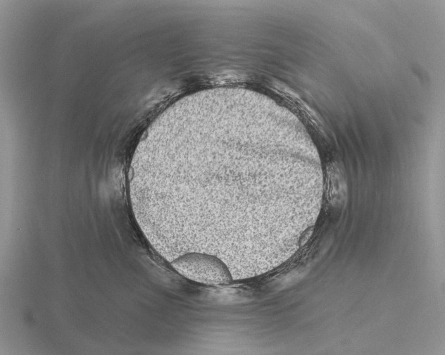 X0000115670523200912101115