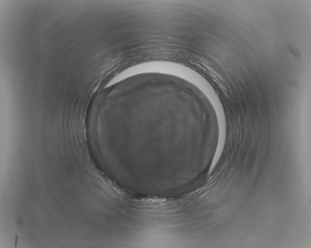 X0000115670524200912101115