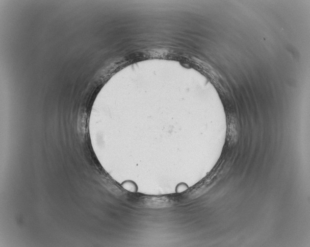 X0000115670525200912101115