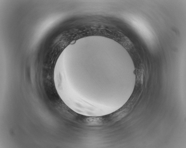 X0000115670526200912101115