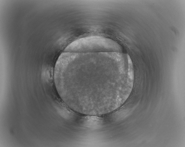 X0000115670528200912101115