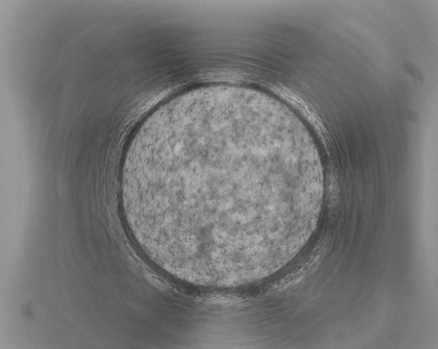 X0000115670529200912101114