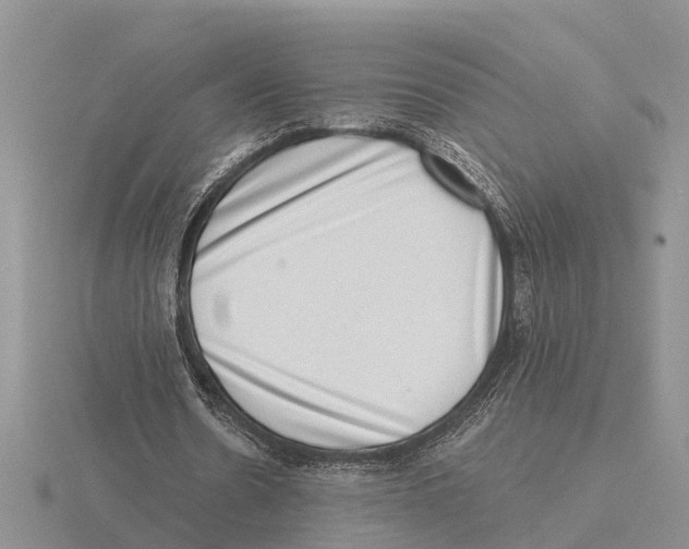 X0000115670530200912101114