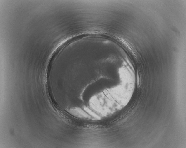 X0000115670531200912101114