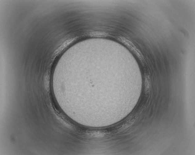 X0000115670533200912101114