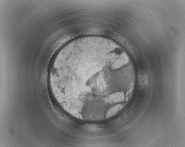 X0000115670534200912101114