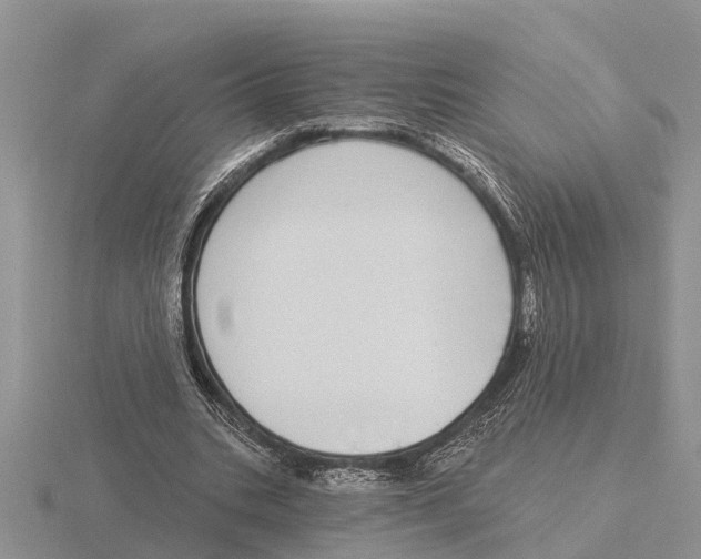 X0000115670535200912101114