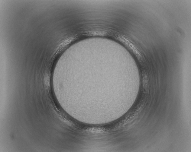 X0000115670537200912101114