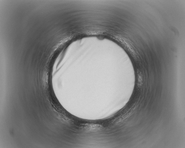 X0000115670539200912101114