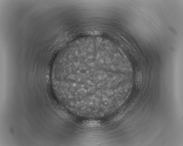 X0000115670553200912101114