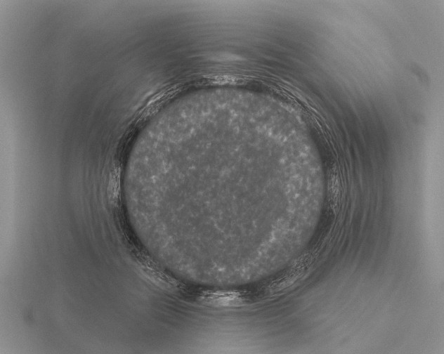 X0000115670554200912101114