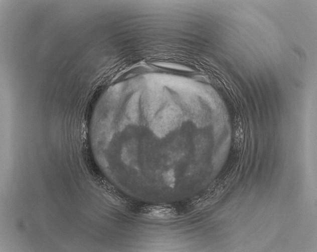 X0000115670555200912101114