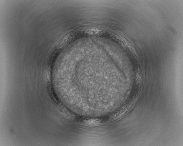 X0000115670561200912101115