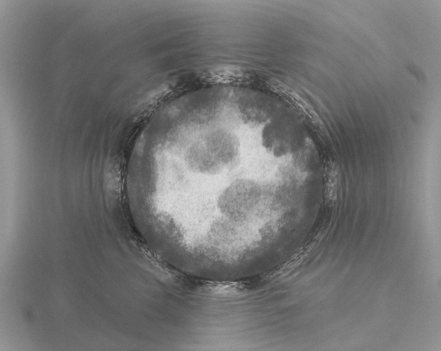 X0000115670569200912101115