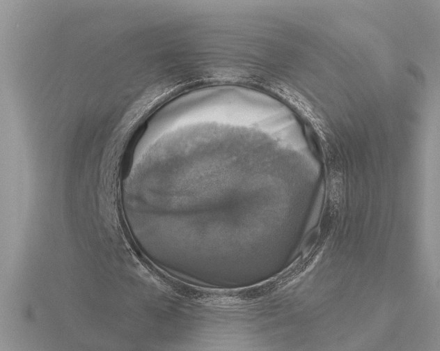 X0000115670577200912101114