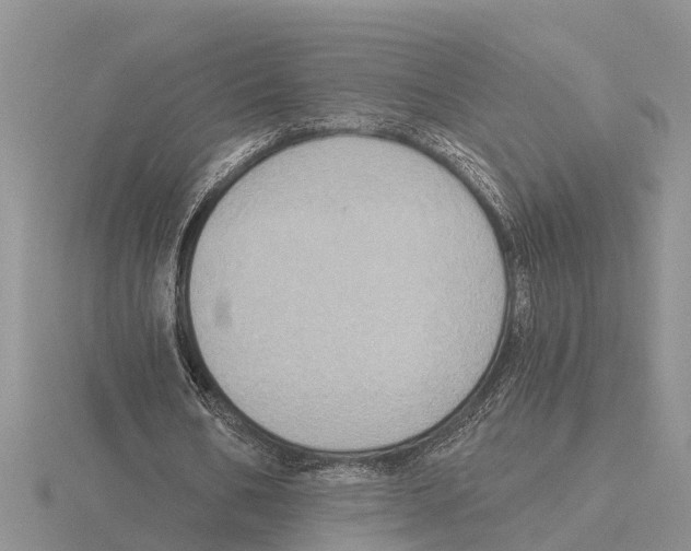 X0000115670578200912101114