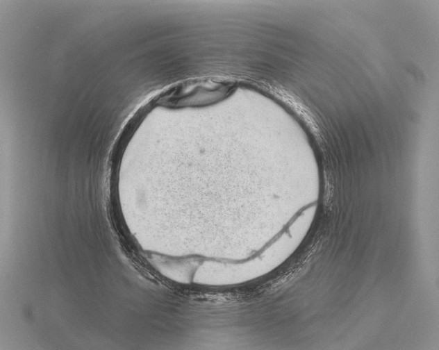 X0000115670580200912101114