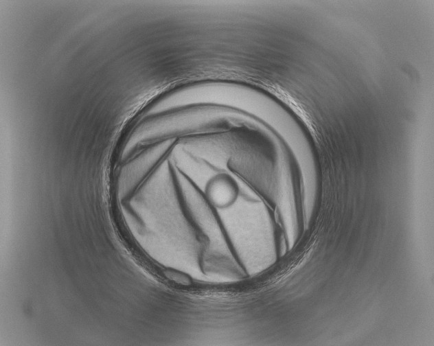 X0000115670581200912101114