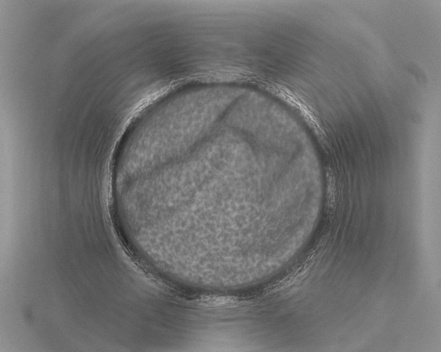 X0000115670582200912101114