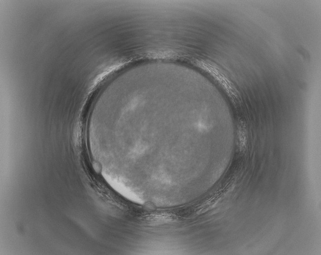 X0000115670583200912101114