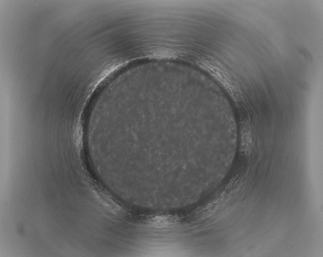 X0000115670584200912101114