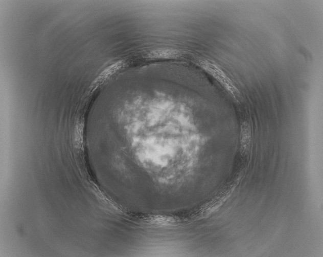 X0000115670585200912101114