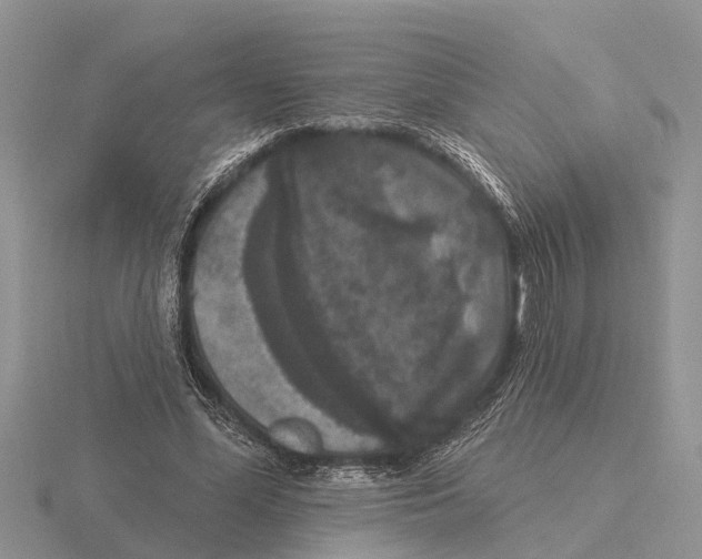 X0000115670588200912101114