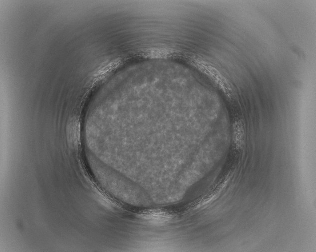 X0000115670589200912101114