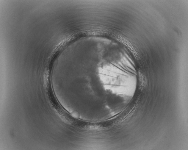 X0000115670590200912101114