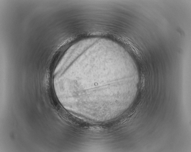 X0000115670591200912101114