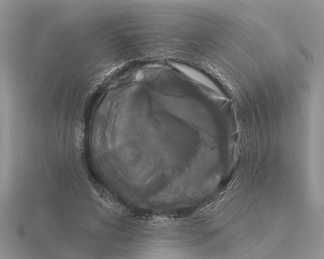 X0000115670592200912101114