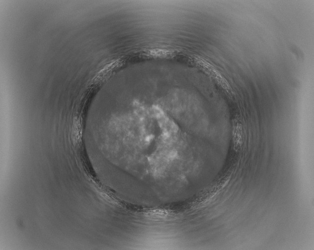 X0000115670593200912101114