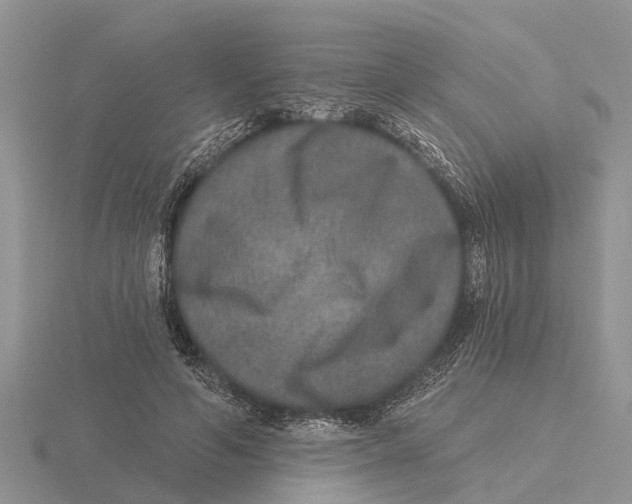 X0000115670594200912101114