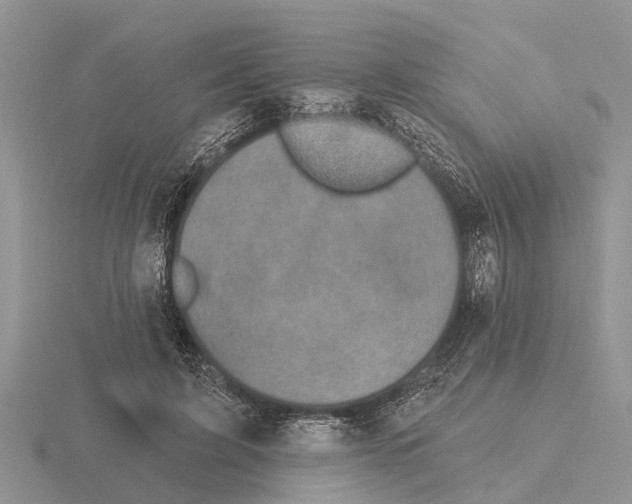 X0000115670595200912101114