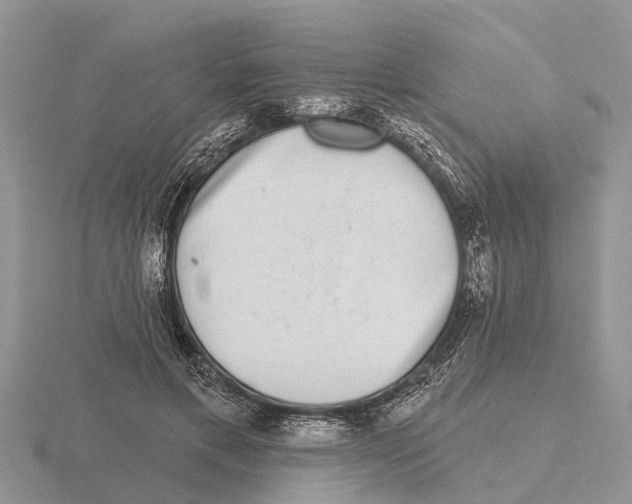 X0000115670597200912101114