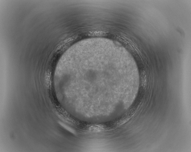 X0000115670599200912101114