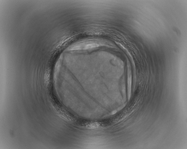 X0000115670600200912101114