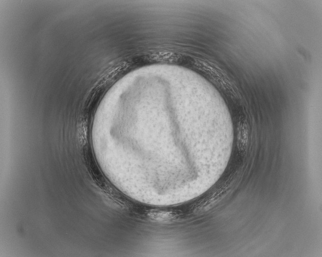 X0000115670602200912101114