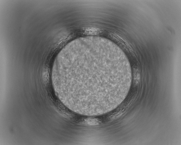 X0000115670603200912101114