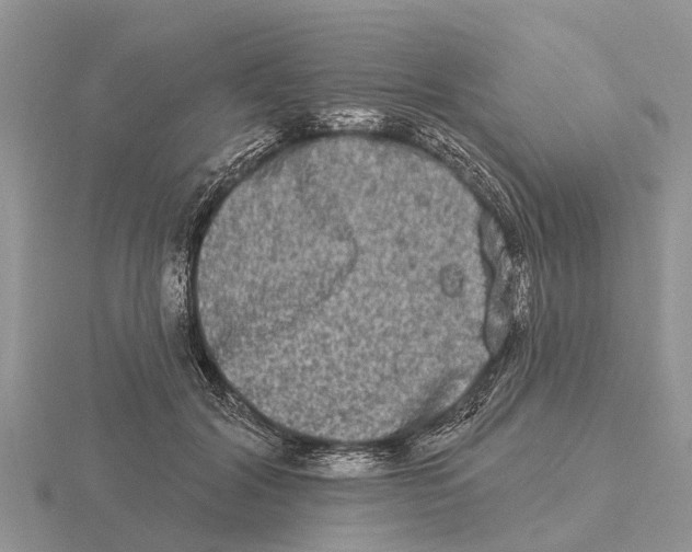 X0000115670604200912101114