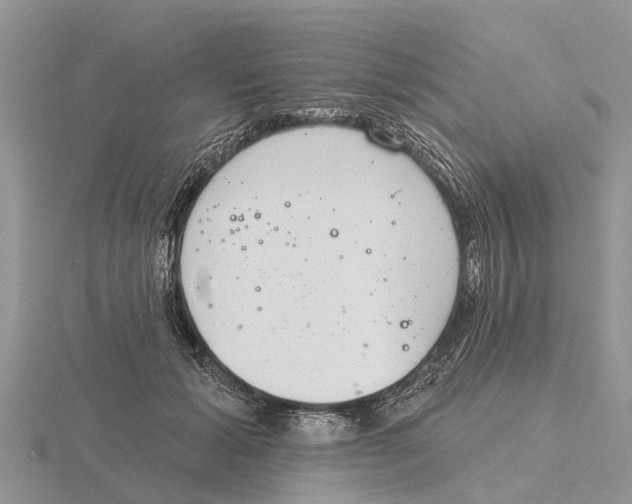 X0000115670605200912101114