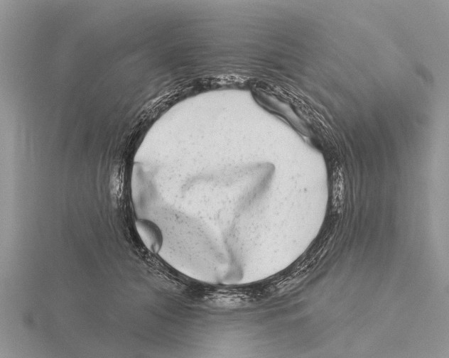 X0000115670608200912101114