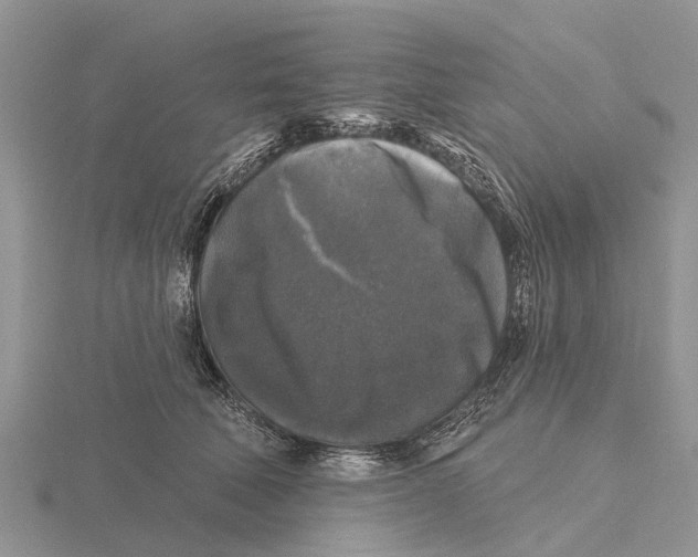 X0000115670610200912101114