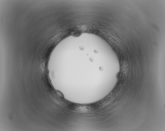 X0000115670611200912101113