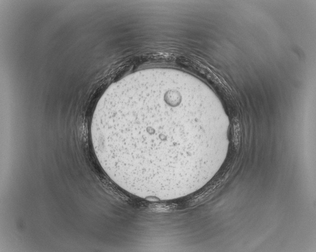 X0000115670613200912101113