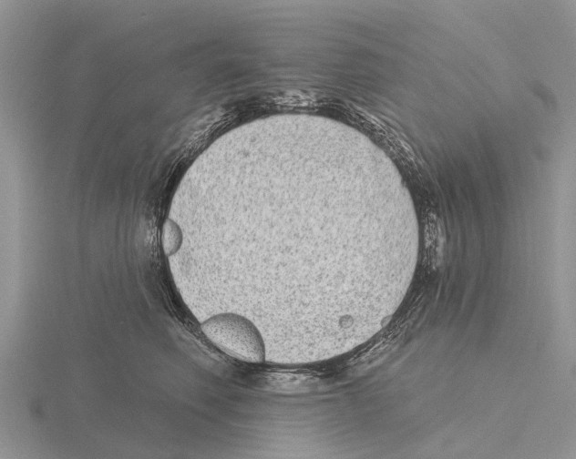 X0000115670614200912101113