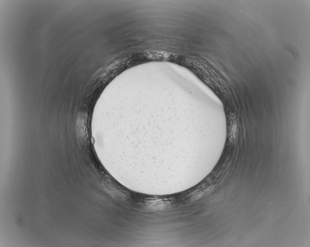 X0000115670616200912101113