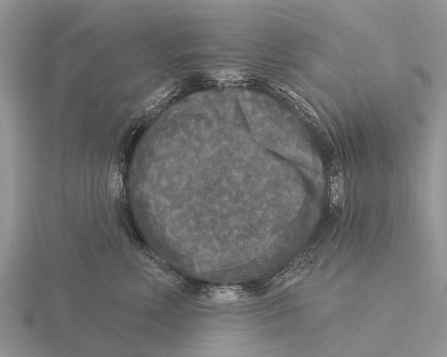 X0000115670618200912101113