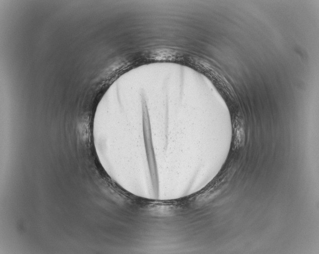 X0000115670620200912101113