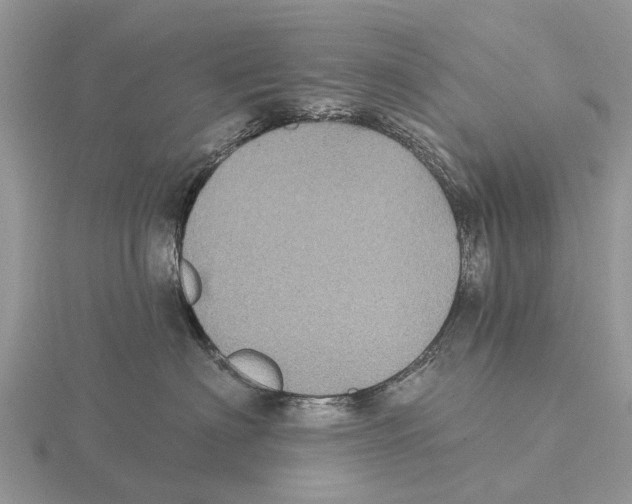 X0000115670622200912101113